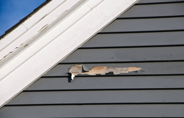 Best Appliance Removal  in Daniel, UT